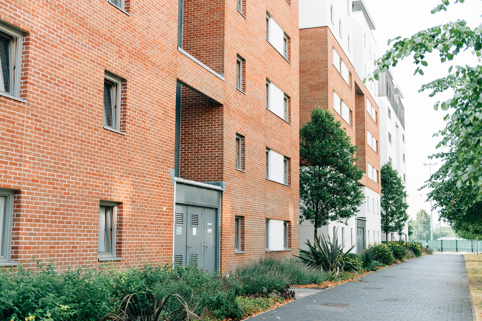 Self Builder case study