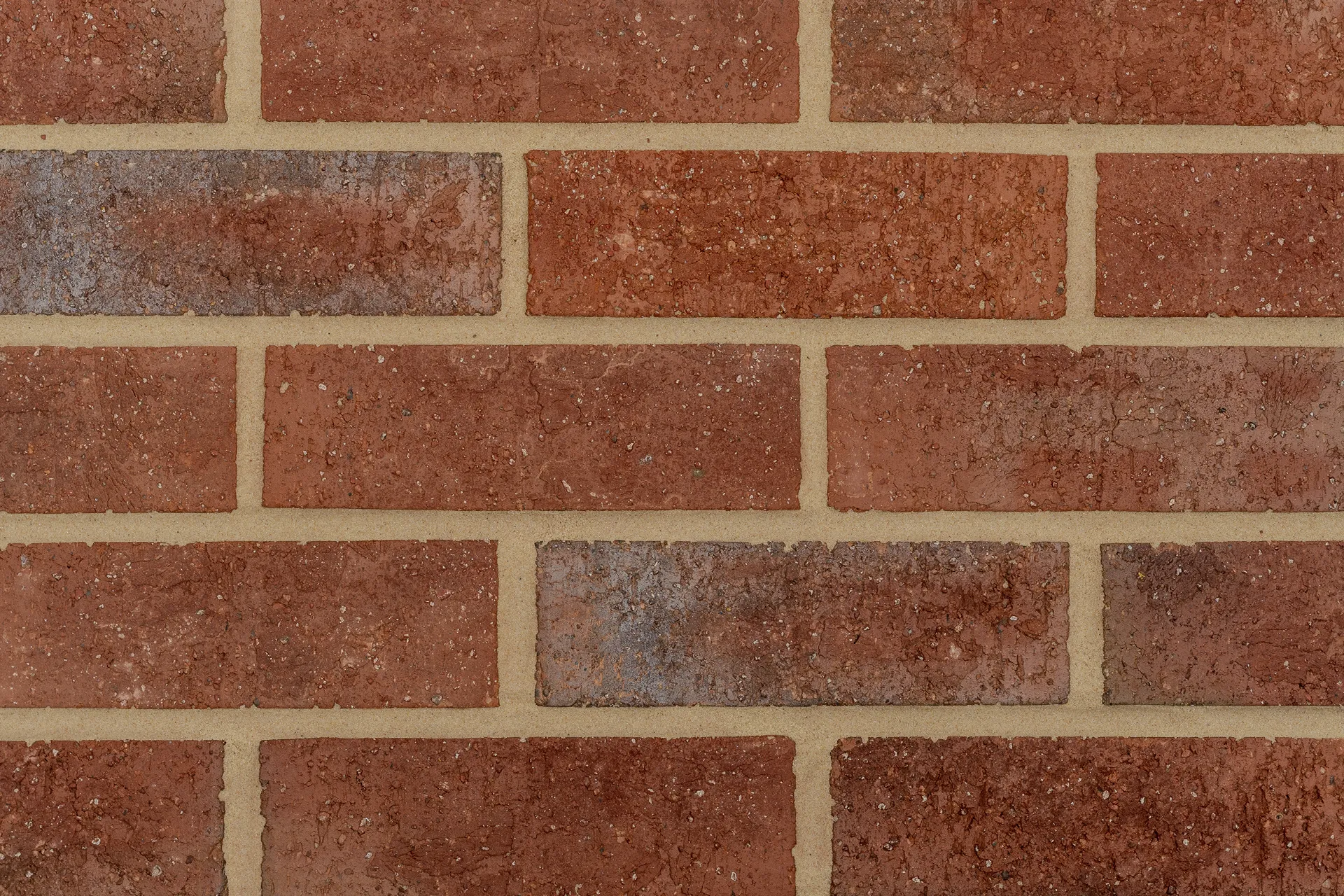 Calderwood Claret wirecut bricks