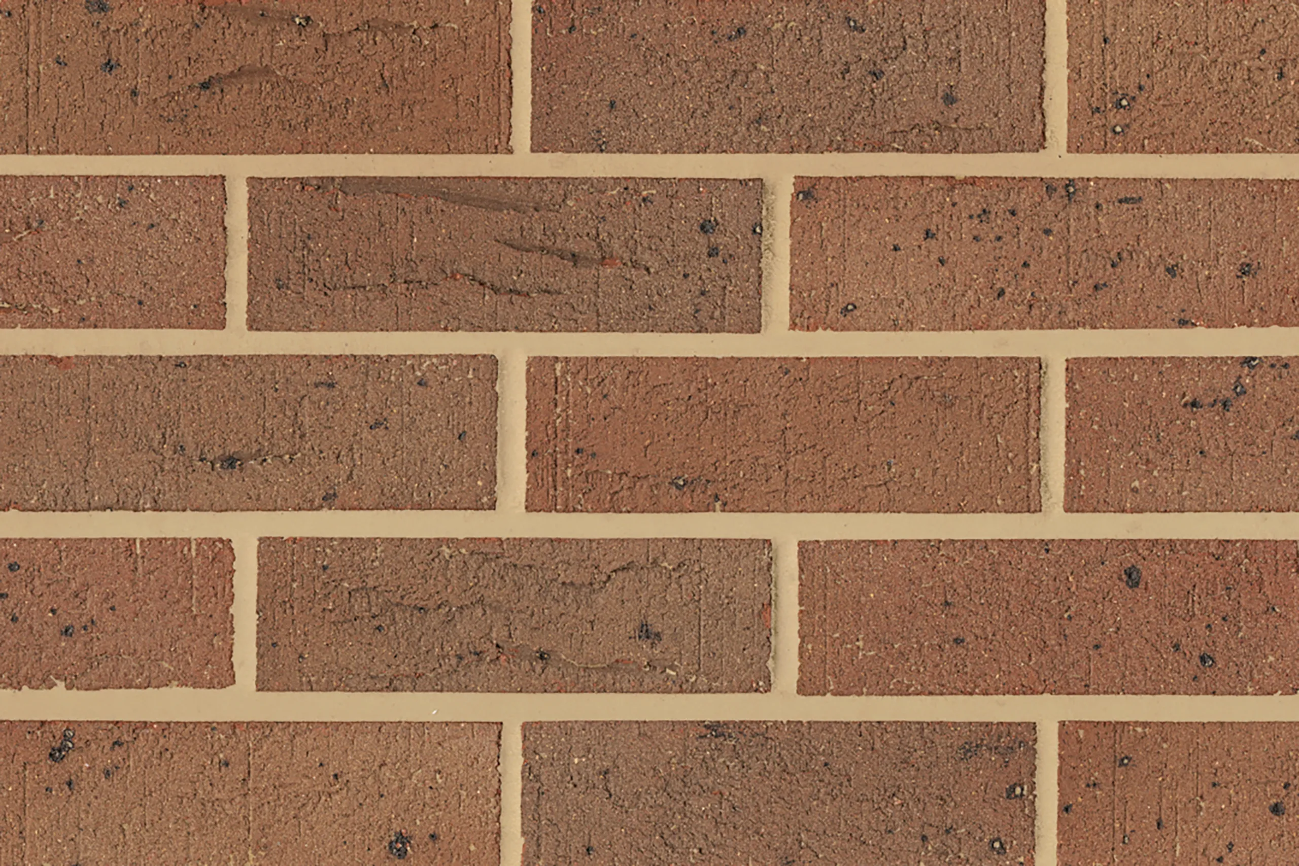 MB-1001 Wirecut bricks