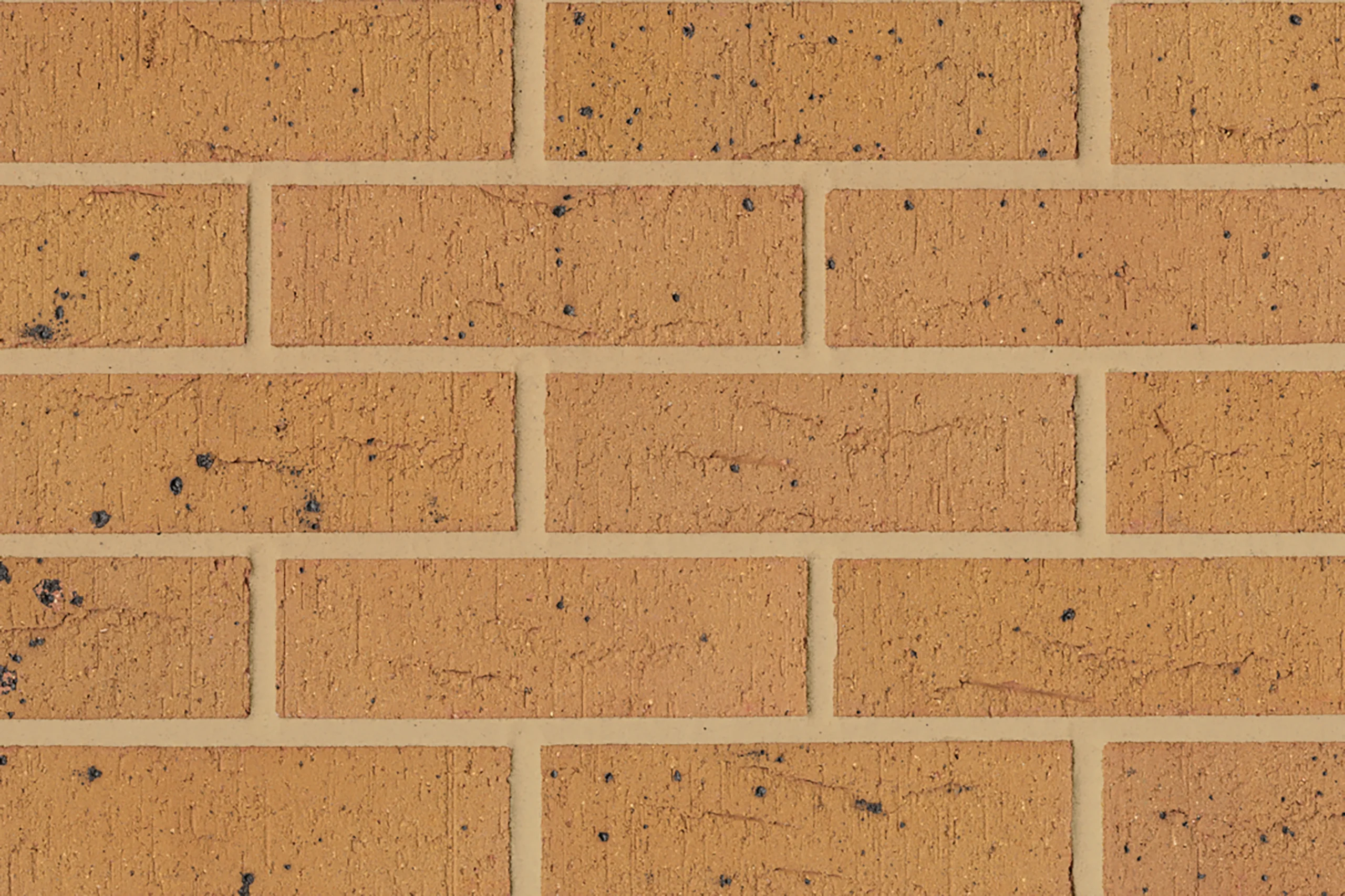 MB-1019 bricks
