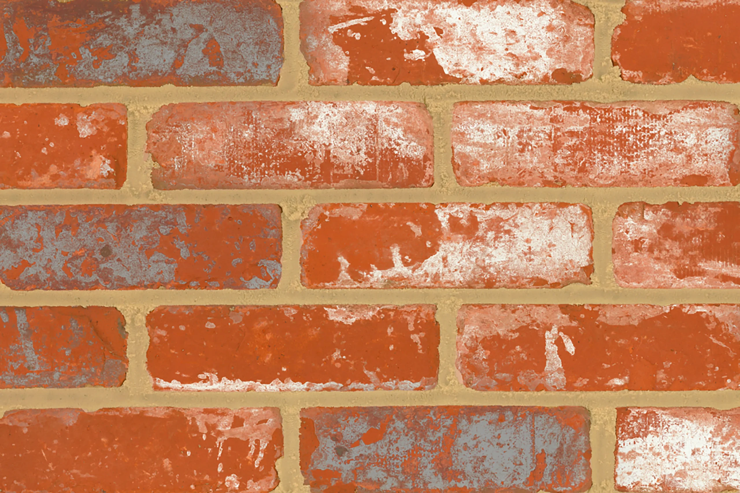 MB-1536 bricks