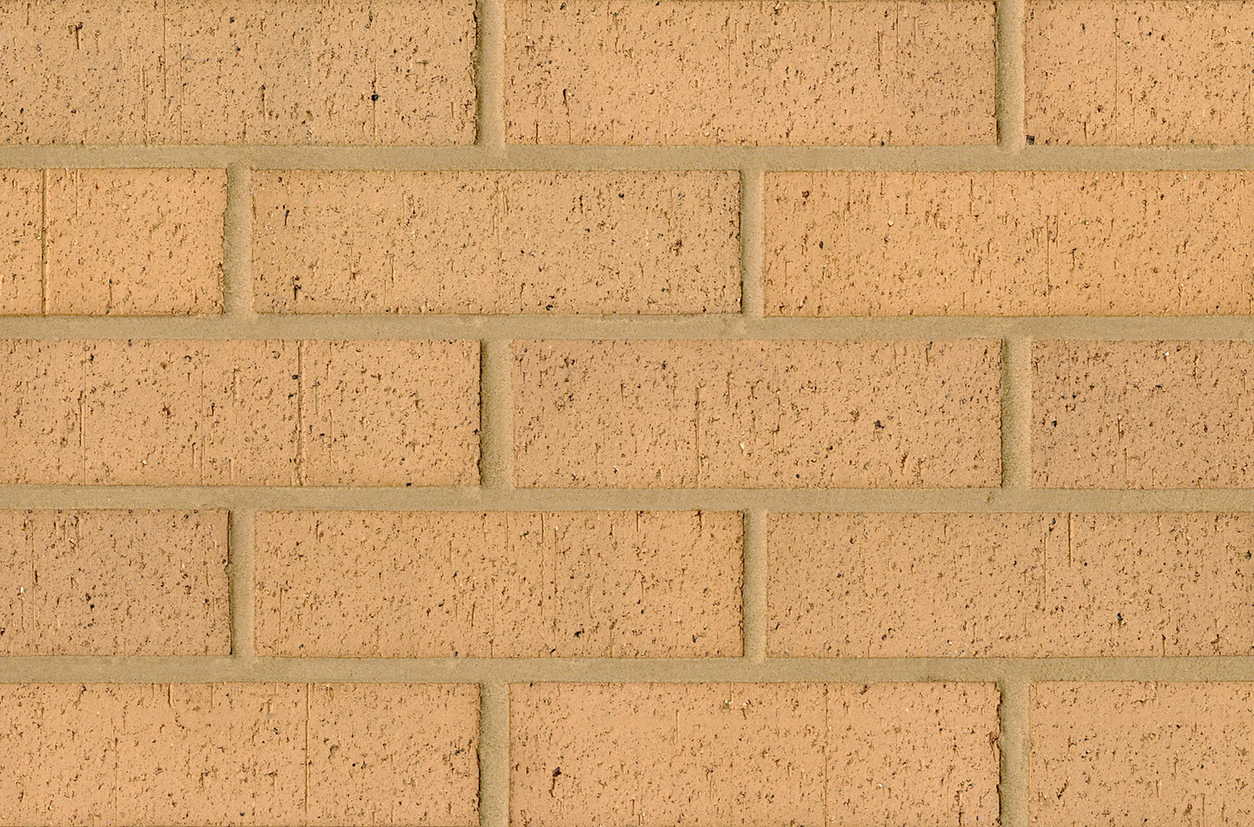 MB-1544 bricks